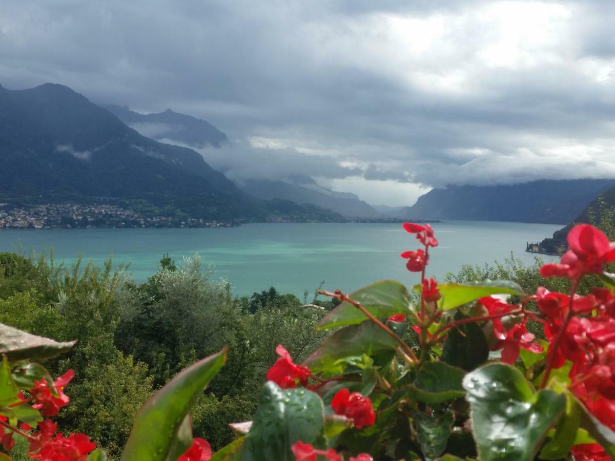 Alba E Tramonto Appartamenti Vista Lago Bellagio Exterior foto